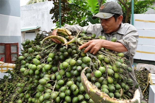 BẢN TIN TÀI CHÍNH-KINH DOANH: Kim ngạch xuất khẩu sắp đạt 200 tỷ USD, giá cau cao kỷ lục