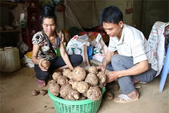 khoai so cu cang, dac san tay bac moi nau vai phut da thom nuc mui hinh anh 1