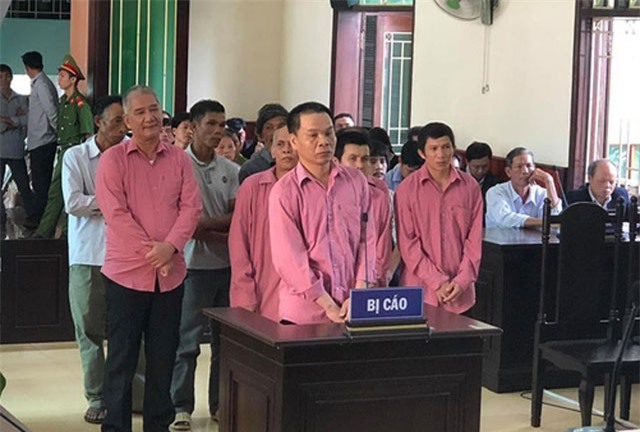 9 bị cáo phá rừng ở Bình Định lĩnh 81 năm tù