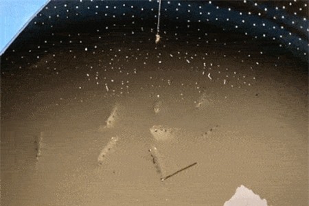 Clip: Nông dân Cần Thơ nuôi cá bắn nước ‘cực độc’ hút khách du lịch