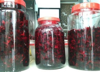 Tự ngâm rượu hoa atiso đỏ trị bách bệnh tại nhà