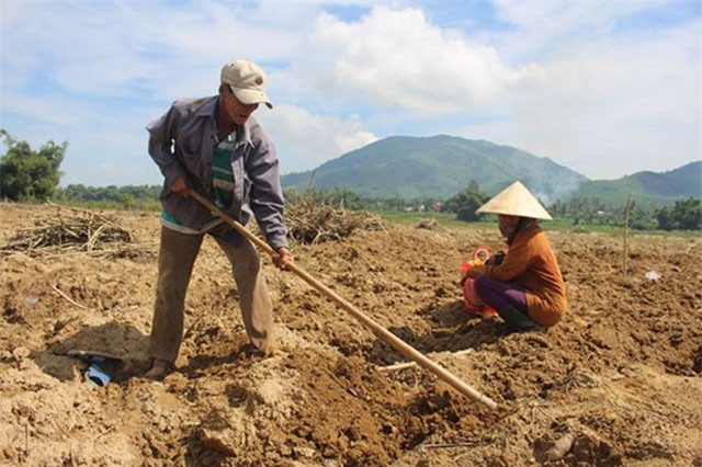 Theo chân thợ săn đặc sản là 'biệt dược phòng the'
