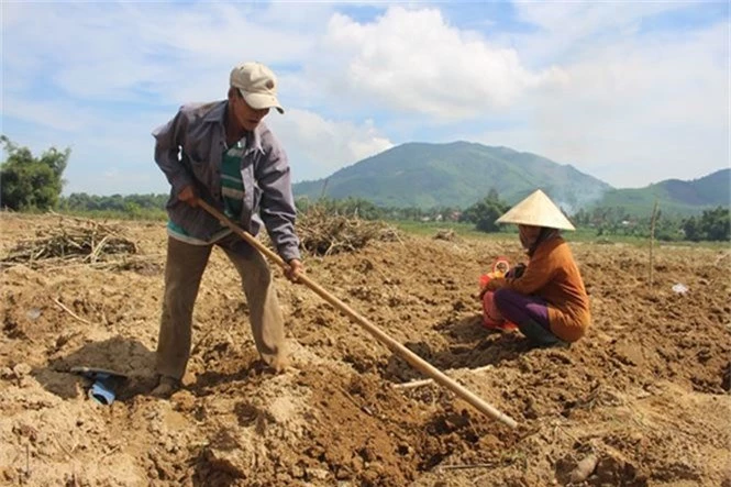  Theo chân thợ săn món đặc sản tốt cho chuyện “chăn gối” - ảnh 1