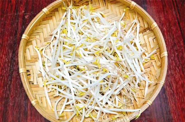 Cách làm giá đỗ bằng chai nhựa cực đơn giản, ăn quanh năm không hết