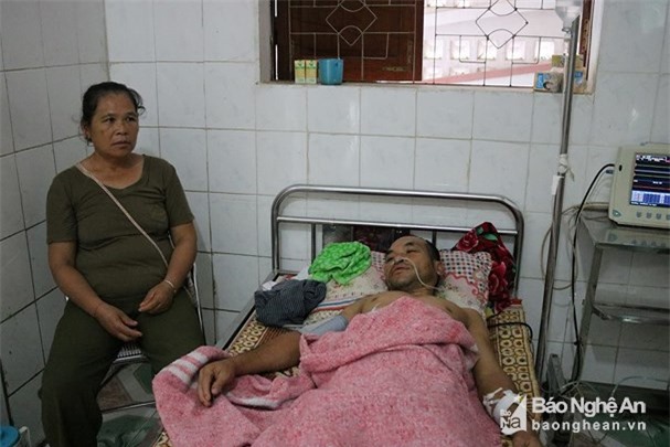 Nghệ An: 11 người thương vong do bị ong vò vẽ đốt