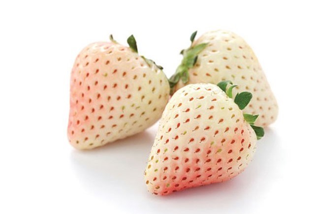 7 lợi ích bất ngờ từ dâu tây trắng