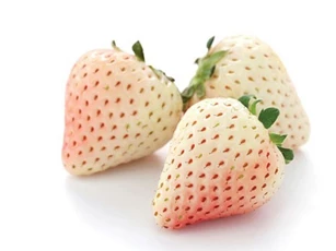 7 lợi ích bất ngờ từ dâu tây trắng