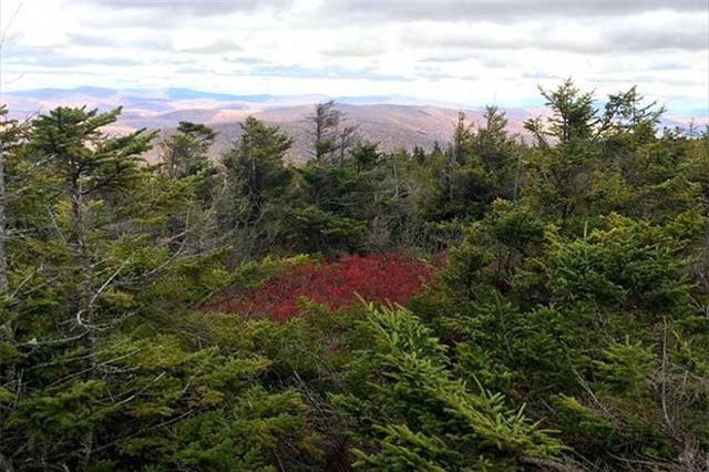 Những vụ mất tích bí ẩn ở 'tam giác quỷ Bennington'