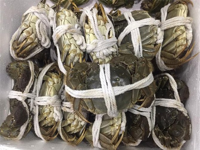 Cua lông Hong Kong giá đắt 'cắt cổ' vẫn hút khách Việt