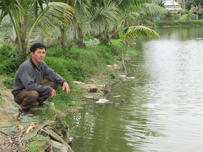 Làm giàu nông thôn: Bỏ lúa, đào ao nuôi cá, lãi 300 triệu/năm