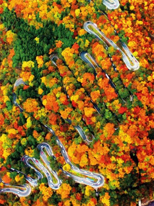 Bức tranh mùa thu nơi con đường nguy hiểm bậc nhất thế giới ở Nhật