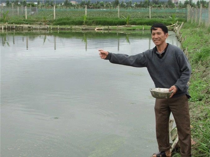 lam giau nong thon: bo lua, dao ao nuoi ca, lai 300 trieu/nam hinh anh 3