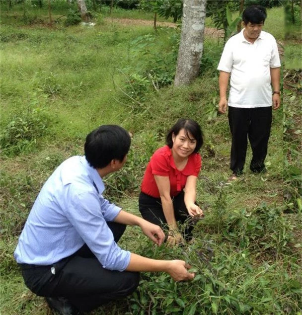 Nữ tiến sỹ “kích” thu nhập lên tiền tỷ cho nông dân nhờ dược liệu quý - 1