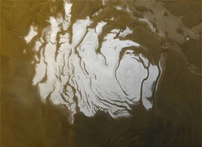 'Thủy tổ loài người' đang sống trên Sao Hỏa? - ảnh 1