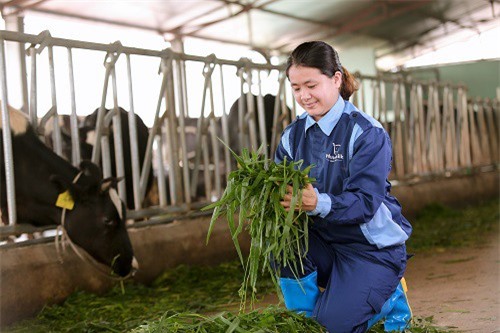 Về quê lập nghiệp, ước mơ chưa bao giờ nguôi