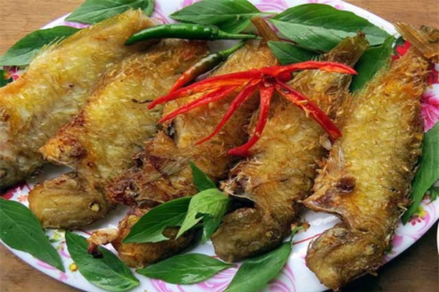 Ngỡ ngàng với những món ngon từ cá mó