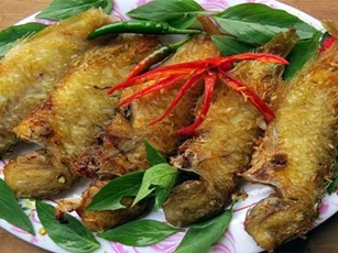 Ngỡ ngàng với những món ngon từ cá mó