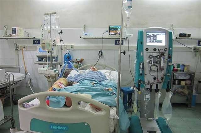 Suy gan, hôn mê nguy kịch vì 'tẩm bổ' bằng nấm linh chi