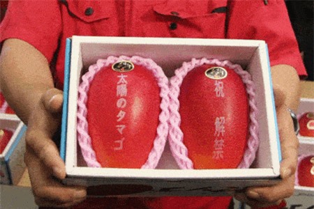 Vì sao 5 loại trái cây trồng ở Nhật Bản lại có giá bán đắt ‘cắt cổ’?