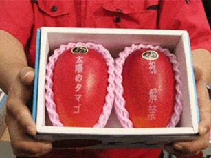 Vì sao 5 loại trái cây trồng ở Nhật Bản lại có giá bán đắt ‘cắt cổ’?