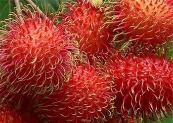 Tác dụng không ngờ của chôm chôm với sức khỏe và làm đẹp