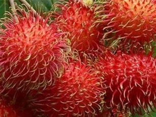 Tác dụng không ngờ của chôm chôm với sức khỏe và làm đẹp