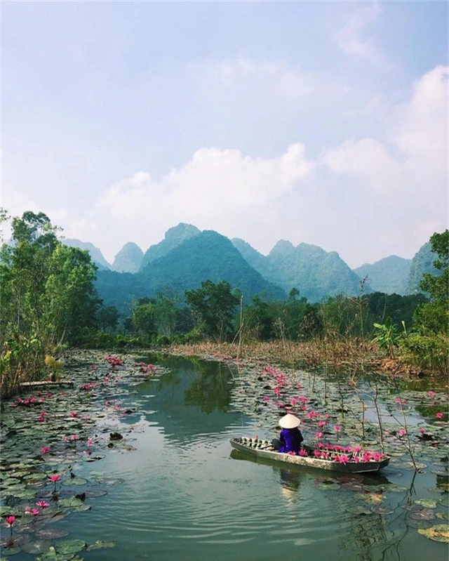 Thời gian tốt nhất để tham quan ở đây là khoảng thời gian từ 7h-9h. Đó là lúc hoa súng nở rộ và ánh nắng chưa gắt nên sẽ có không khí huyền ảo trên mặt nước. Ảnh: @myhanh.hoang19