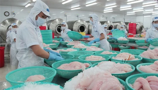Cá tra, basa là một trong những mặt hàng có tiềm năng xuất khẩu lớn của Việt Nam (Ảnh:TL)