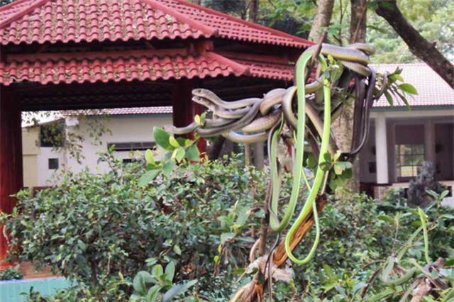 4 điểm du lịch ở Việt Nam khiến khách phải kinh hãi