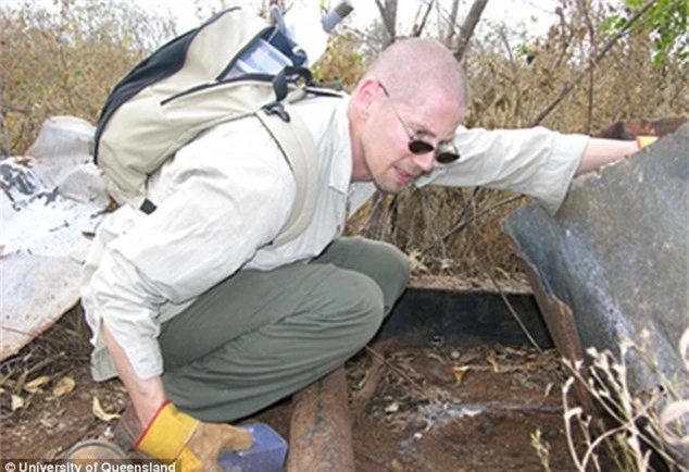 Úc: Các nhà khoa học tình cờ phát hiện ra chủng rắn mới độc kinh hoàng - Ảnh 3.