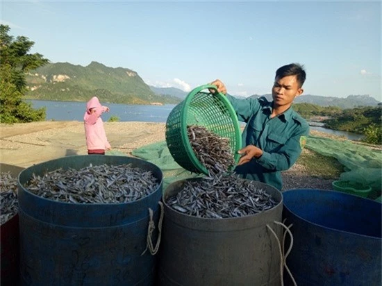 chum anh: kiem bon tien tu nghe ca kho song da hinh anh 12