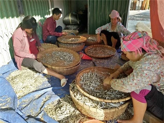 chum anh: kiem bon tien tu nghe ca kho song da hinh anh 8