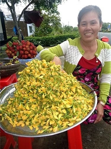 mua nuoc noi, nguoi dan mien tay hai bong dien dien thu tien moi tay hinh 8