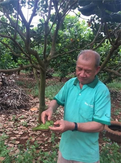 nghi huu ve lam vuon van ung dung kiem nua ty dong/nam hinh anh 2