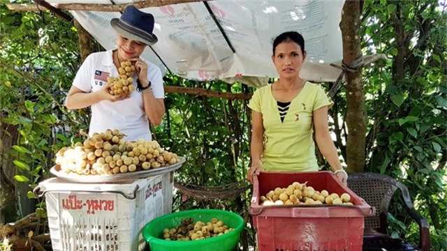 Khắp nẻo đường lên Tiên Phước, đâu cũng gặp những vựa lòn bon được bày bán cho du khách