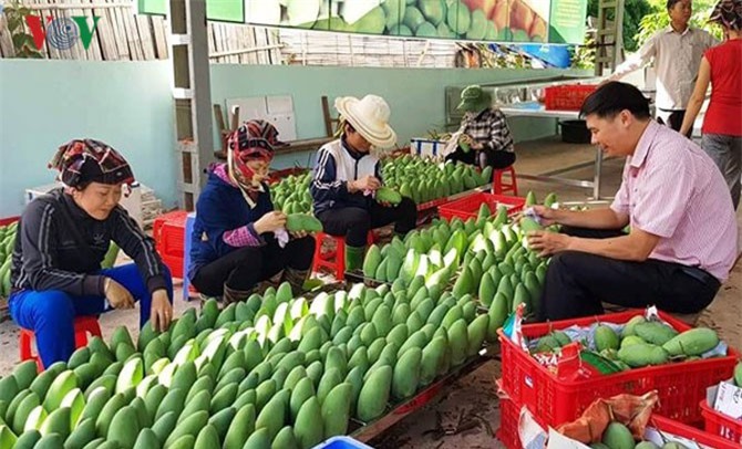 Cú hích lớn từ tư duy sản xuất nông sản sang làm kinh tế nông nghiệp