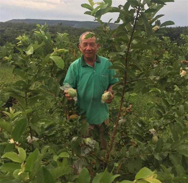 Nghỉ hưu về làm vườn vẫn ung dung kiếm nửa tỷ đồng/năm