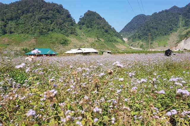 Lạc vào thung lũng Hang Kia, đẹp yên bình như cổ tích
