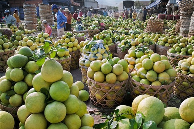 BẢN TIN TÀI CHÍNH-KINH DOANH: Trái cây Việt sẽ phải cạnh tranh khốc liệt, vốn FDI vào Việt Nam thêm 28 tỷ USD