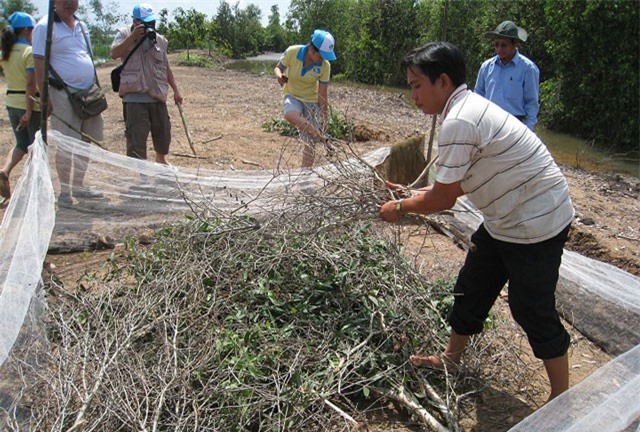 Clip: Mùa hưởng lộc trời ở miền Tây kỳ 1: Chất chà bắt chuột