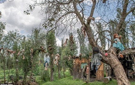 Khiếp sợ hòn đảo ma quái với hàng nghìn con búp bê treo lủng lẳng trên cây