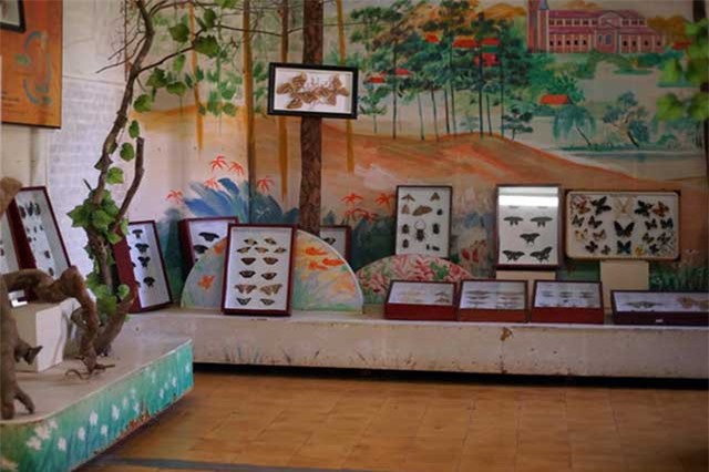 Khám phá bảo tàng trong tu viện cổ giữa rừng ở Đà Lạt