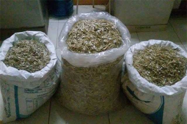 Gia Lai: Làm ngày không đủ, tranh thủ mỗi tối kiếm tiền triệu