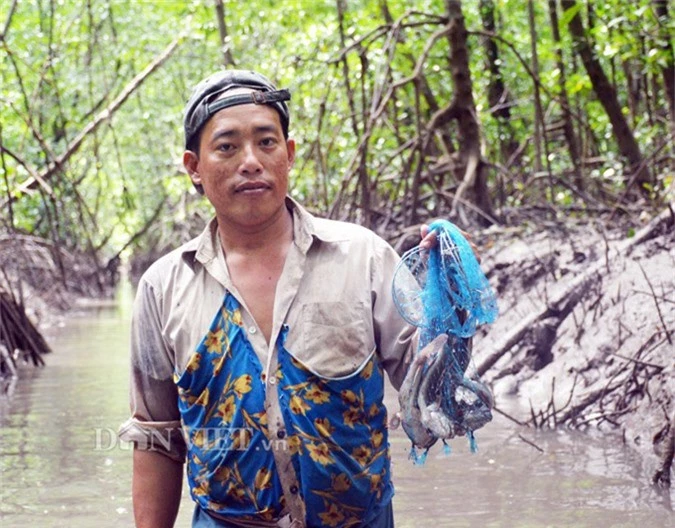 loi rung ngap man o dat mui “san” loai ca ky la nhat hanh tinh hinh anh 3