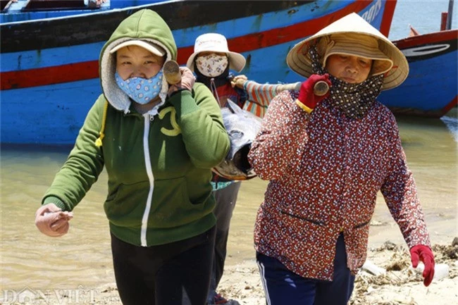 anh: thu phu ca ngu dai duong tai phu yen hinh anh 8