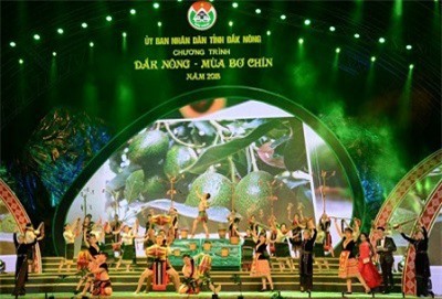 Đắk Nông: 27 doanh nghiệp bị thanh, kiểm tra chồng chéo 