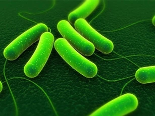 Clip: Điều gì sẽ xảy ra nếu mọi loại vi khuẩn trên Trái Đất biến mất?