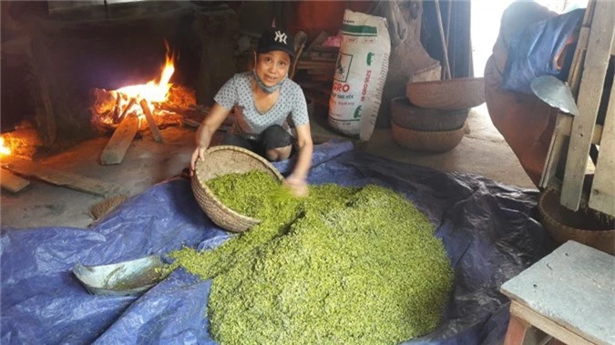 luu giu huong sac thu ha noi qua huong vi com me tri