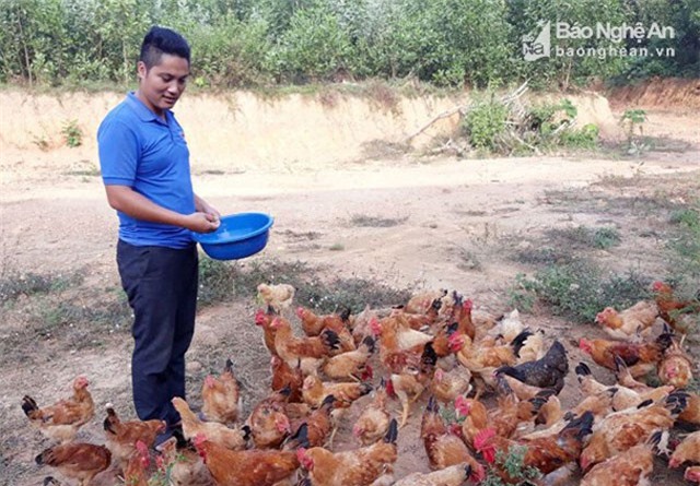 Tốt nghiệp loại giỏi, cử nhân sư phạm về xứ núi trồng rừng, phát triển chăn nuôi