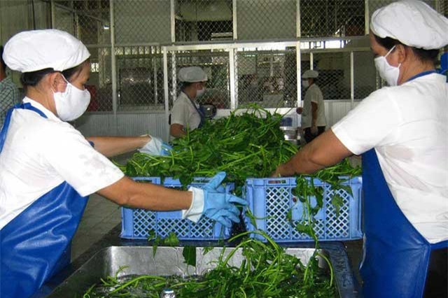 Cần làm gì khi có biểu hiện ngộ độc thực phẩm